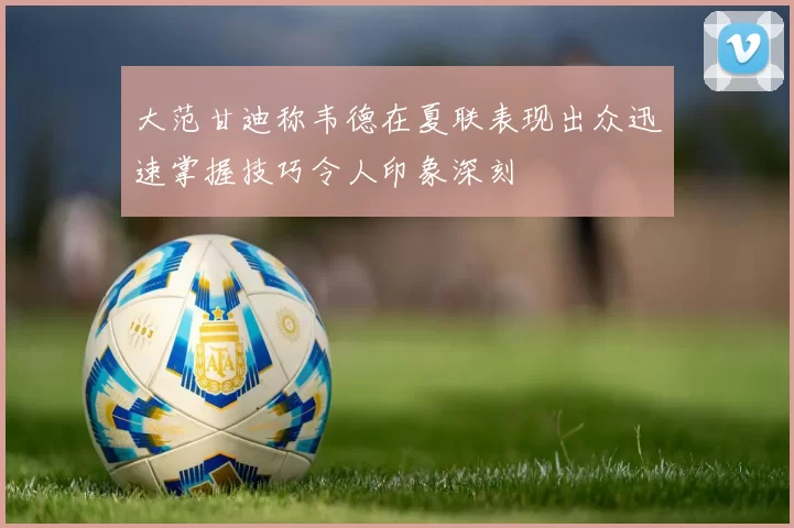 大范甘迪称韦德在夏联表现出众迅速掌握技巧令人印象深刻